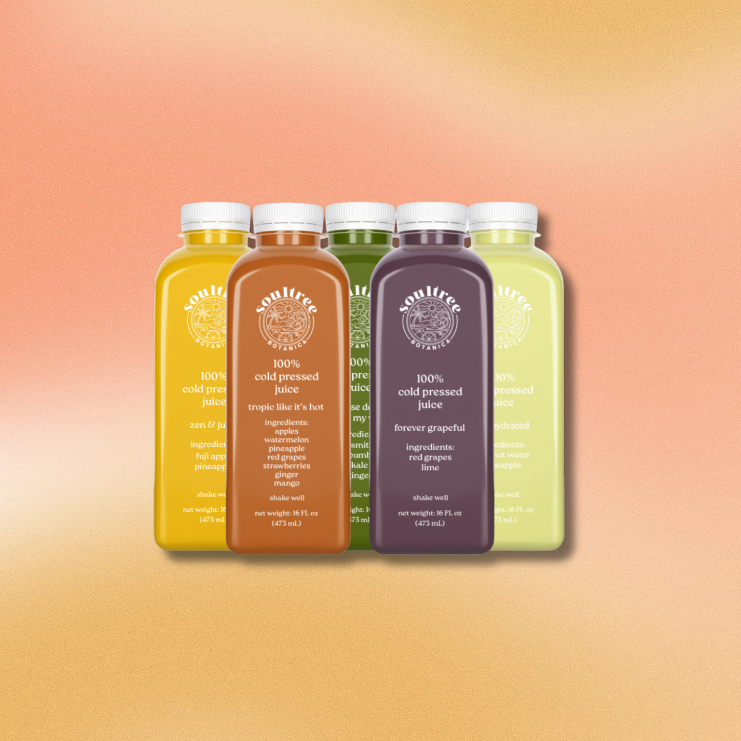 6 pack cold pressed juice